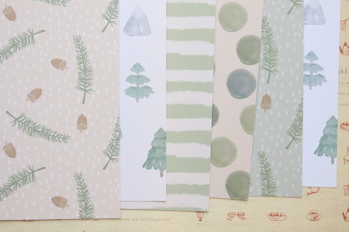 Forest nature mix cardstock - nature,
