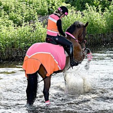 Equisafety Multi Coloured Hi