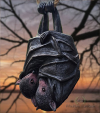 Quality Resin Hanging Bats