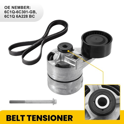 Fan drive belt - drive, +