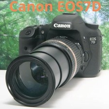 Canon EOS 7D High Performance