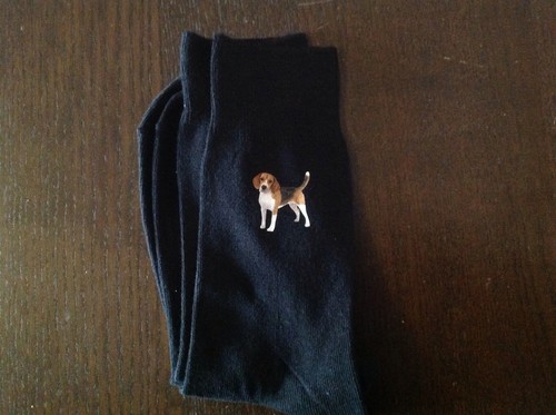 Beagle printed socks dog - printed,