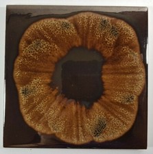 A HIGH GLOSS RETRO H & E SMITH 6 INCH SQUARE CERAMIC WALL TILE - POOLE STYLE