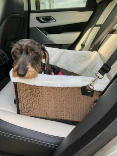 Pet travel carrier dog cat - -,