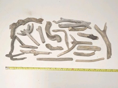 Mixed collection driftwood - collection,