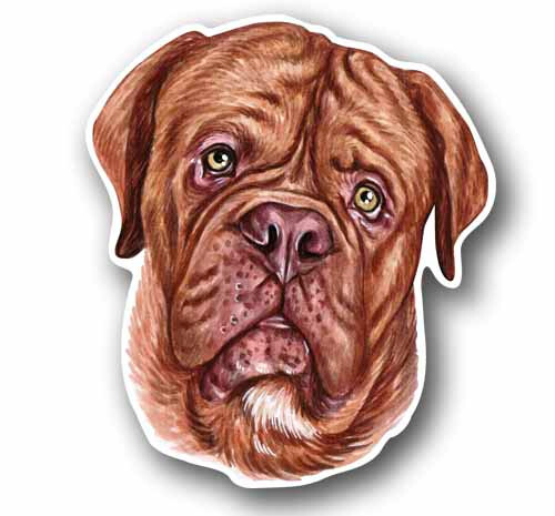 French mastiff dog tall - mastiff,