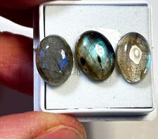 Labradorite Peacock Blue Oval 12x9x4mm x 3 Loose Cabochon Gemstone LAB031