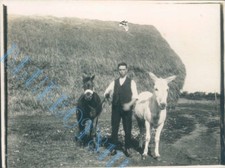 Farm Boy With horses  on The