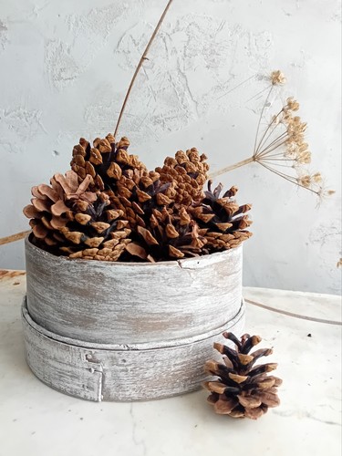 Vintage bentwood steel mesh - steel,