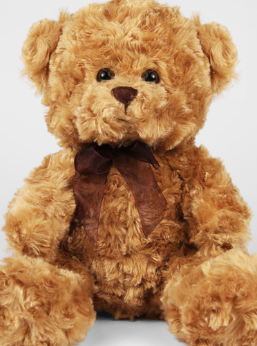 Cuddles time plush - cuddles,