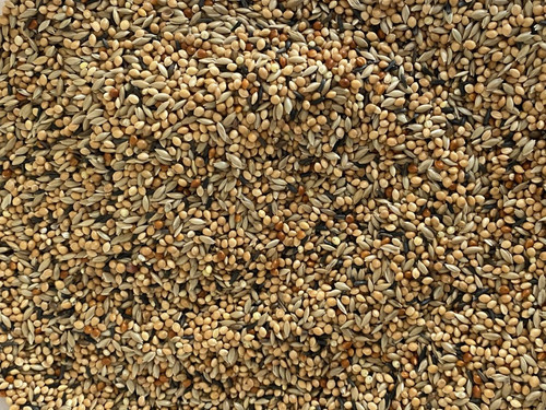 1kg quail seed mix bird - seed,