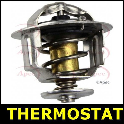 Thermostat for nissan trail - for,