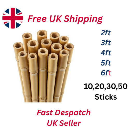 6ft bamboo garden - bamboo,