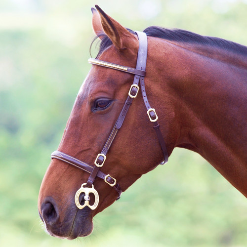 Shires horse velociti gara - shires,