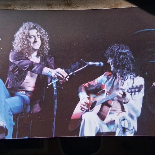 Led zeppelin type - photo, 1977