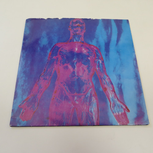Nirvana sliver dive clear - nirvana, /