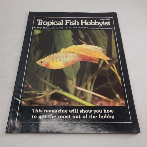Tropical fish hobbyist - fish,