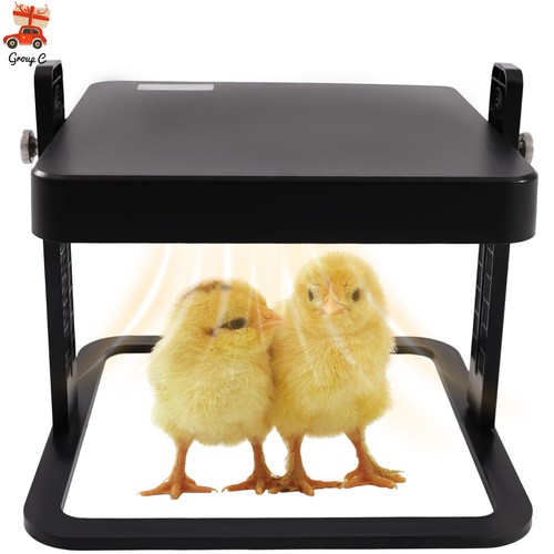 Chick brooder heat - brooder/heat, plate