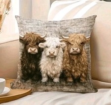 1 X Beautiful Highland Cow