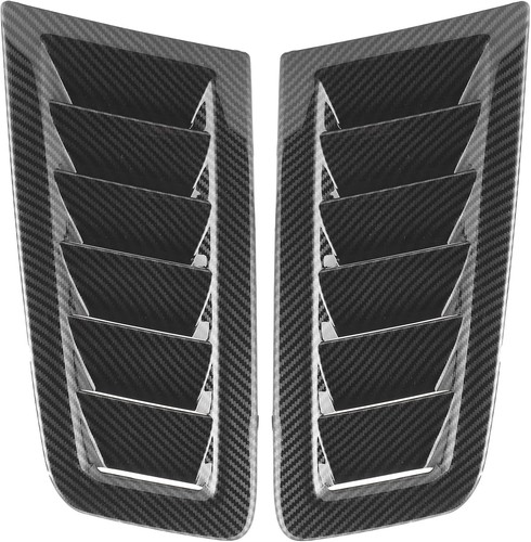 Carbon fiber hood vent - hood,
