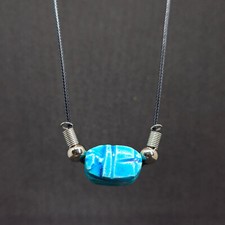 Exquisite Blue Scarab Beetle