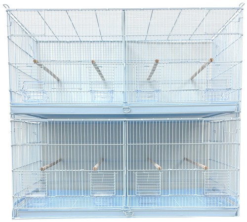 Large two bird flight - of,