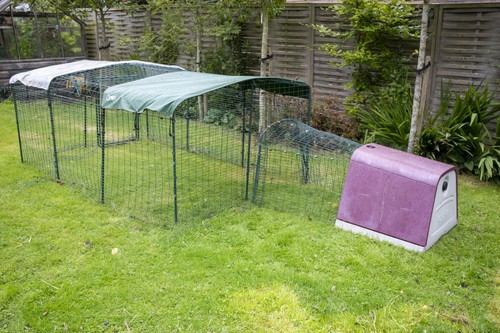 Eglu rabbit hutch - go,