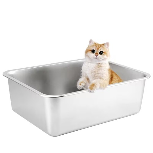 Stainless steel cat - steel,