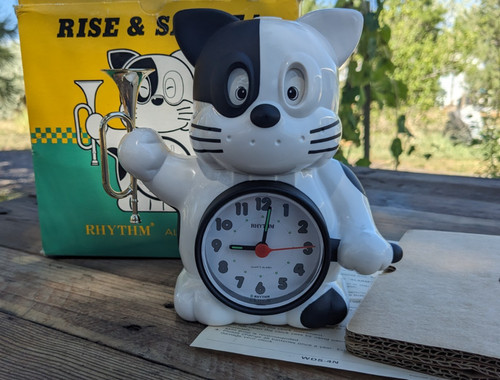 Rhythm rise shine - shine", &