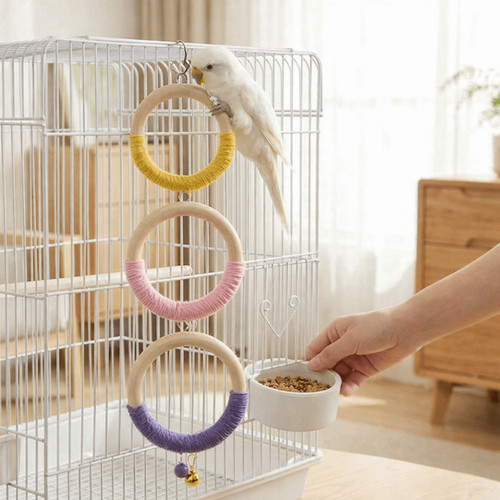 Parrot pole swing colored - pole,