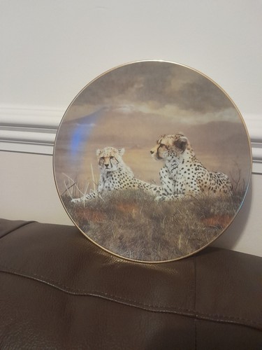 Big cat decorative - big,