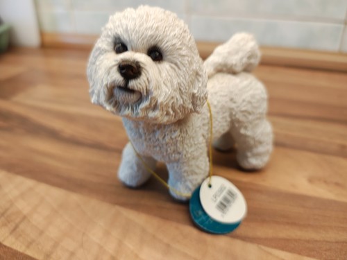Leonardo collection bichon - collection,