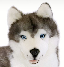 ~❤️BOCCHETTA Siberian