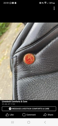 Saddle company inch - company, 17