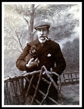 ENGLISH TOY TERRIER BLACK &