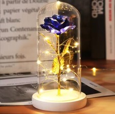 Valentine Day Gift Galaxy Rose