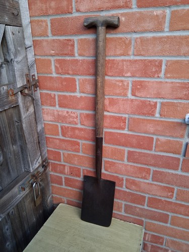 Spearwell ladies border - ladies, spade