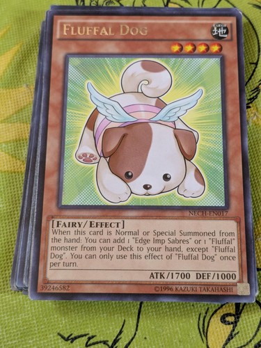 Fluffal dog nech - dog, rare