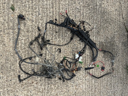 Bmw n54b30 full engine wiring - n54b30,