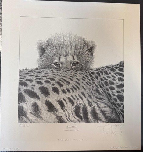 Gary hodges limited edition - gary,