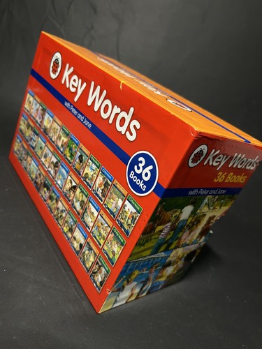 Ladybird key words with - key,