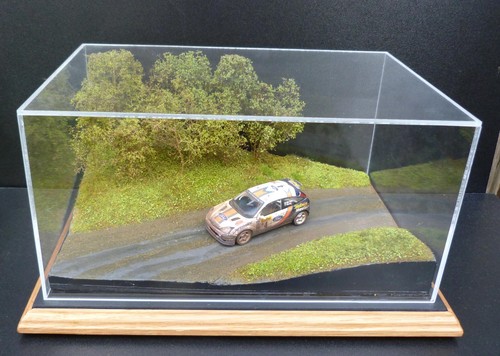Scale diorama large rally - scale,