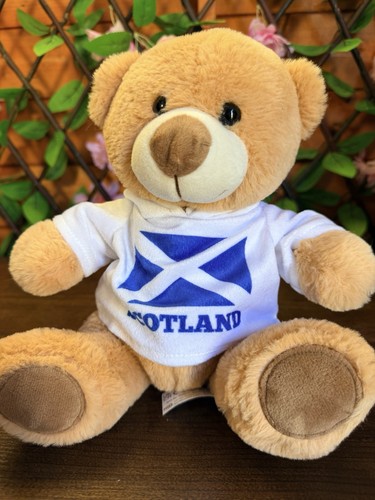 Scottish hoodie bear - plush, toy