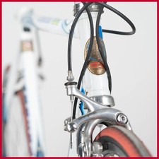 Carrera tassoni mario chiesa - tassoni,
