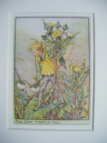 Vintage flower fairies print - vintage,