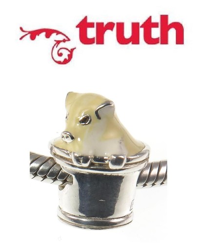 Genuine truth 925 sterling - truth,