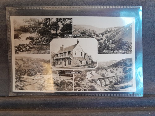 Monsal head multiview card - monsal,