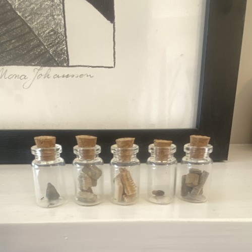 Mini fossil specimen jars - , set