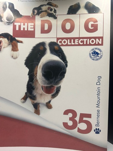 The dog collection - 35, bernese