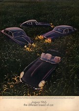 1965 Jaguar XKE Coupe Roadster